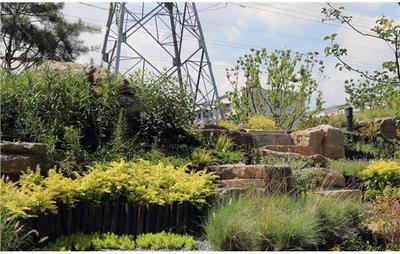 靜安區(qū)美麗城區(qū)項(xiàng)目臨汾路東茭涇(二期)綠化建設(shè)工程竣工