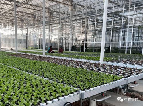 全力打造精品工程 2021年重點(diǎn)建設(shè)項(xiàng)目盤點(diǎn)