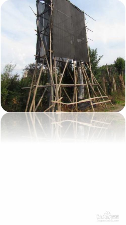 園林綠化施工中喬灌木種植注意事項(xiàng)