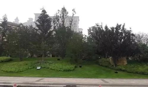 這些園林綠化工程施工技術規范,值得你花時間學習一下