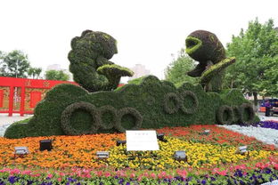 美 今年城區(qū)實施園林綠化工程15項,這些地方風(fēng)景如畫