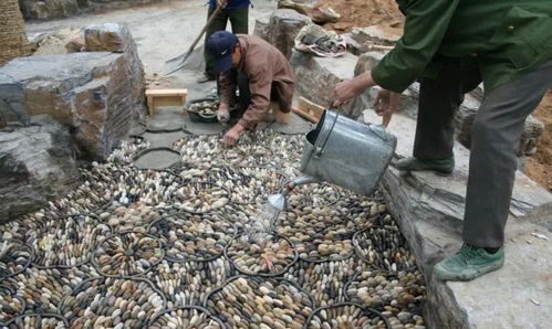 行業技術丨園林綠化施工現場如何管理 關鍵環節都在這里