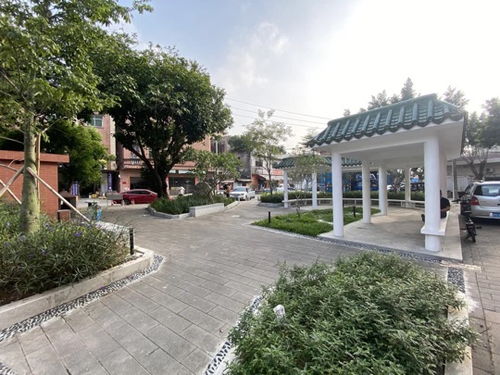 厚街鎮(zhèn)積極推進(jìn)園林綠化品質(zhì)提升工程，5個口袋公園建成落地