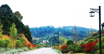 喜訊 | 人文園林榮獲2018年度杭州市優(yōu)秀園林綠化工程評比三金佳績