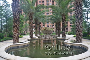 金石華府二期園林綠化施工進(jìn)展及3號(hào)樓新品預(yù)告