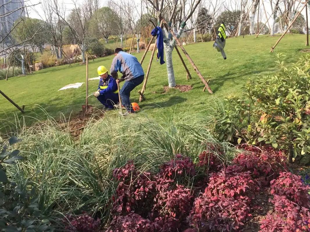 邊坡綠化工程 專業施工，筑造綠色家園的生態屏障