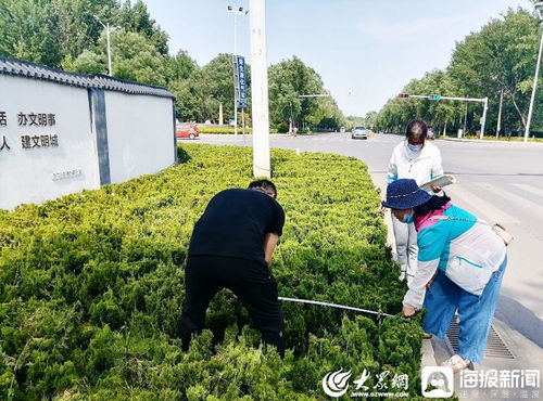 青州市園林綠化和環衛中心 卡準綠化施工精度尺，拉緊項目驗收質量繩——以高標準打造體育場地設施工程